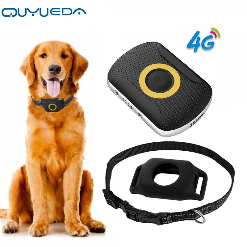 4G Smart GPS Tracker Collar for Dogs | Waterproof Real-Time Location Device