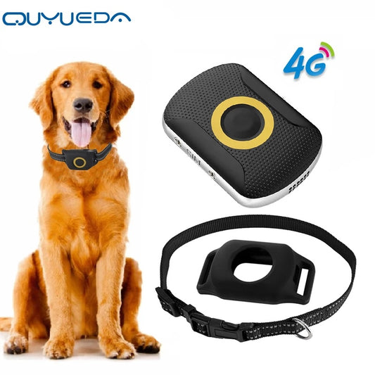 4G Smart GPS Tracker Collar for Dogs | Waterproof Real-Time Location Device