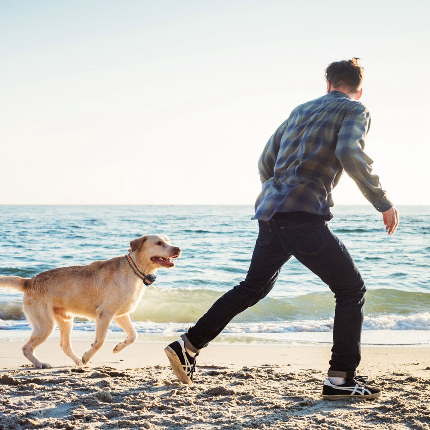 2-in-1 Smart GPS Dog Fence & Tracker Collar | Wireless Boundary & Real-Time Tracking